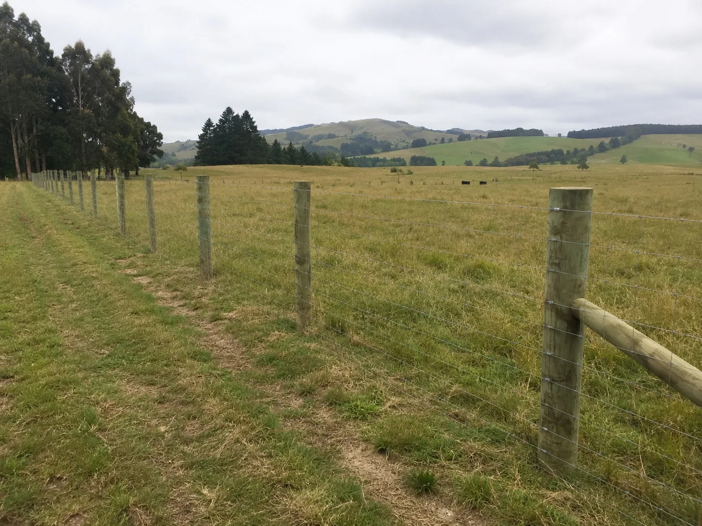 Post and rail fence on a Wellington lifestyle block