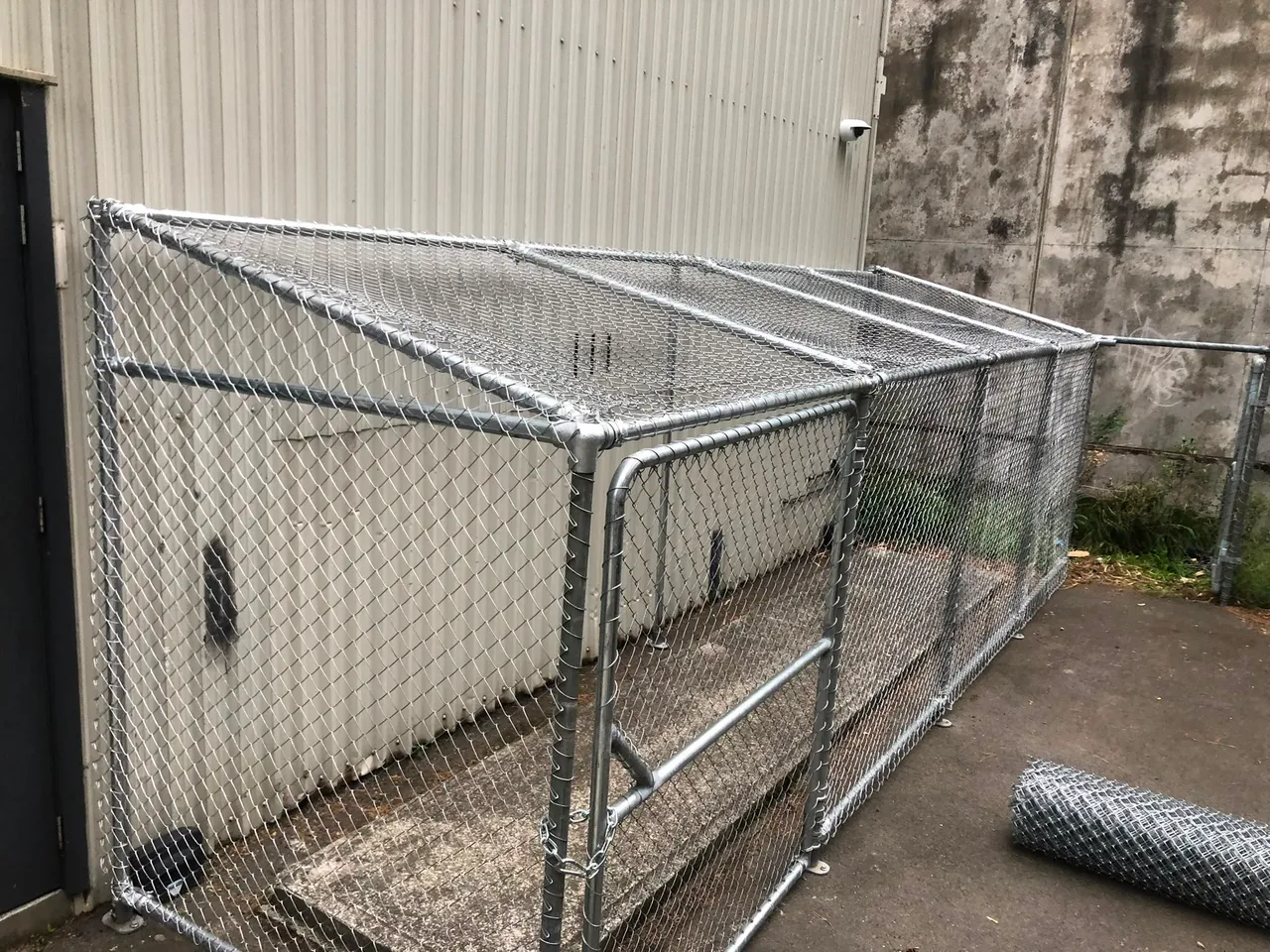 Galvanised chain link fencing around a Wellington yard